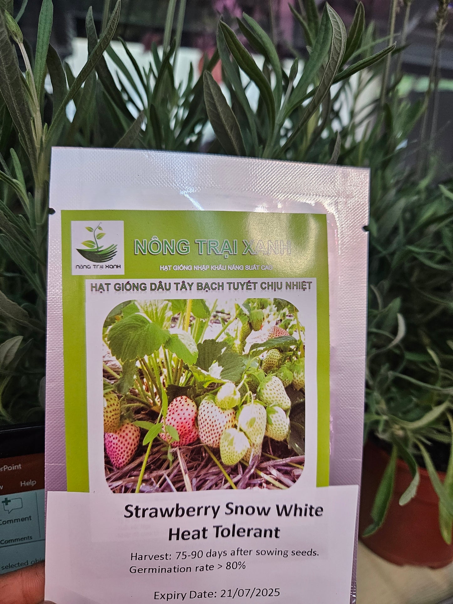 Exotic seeds