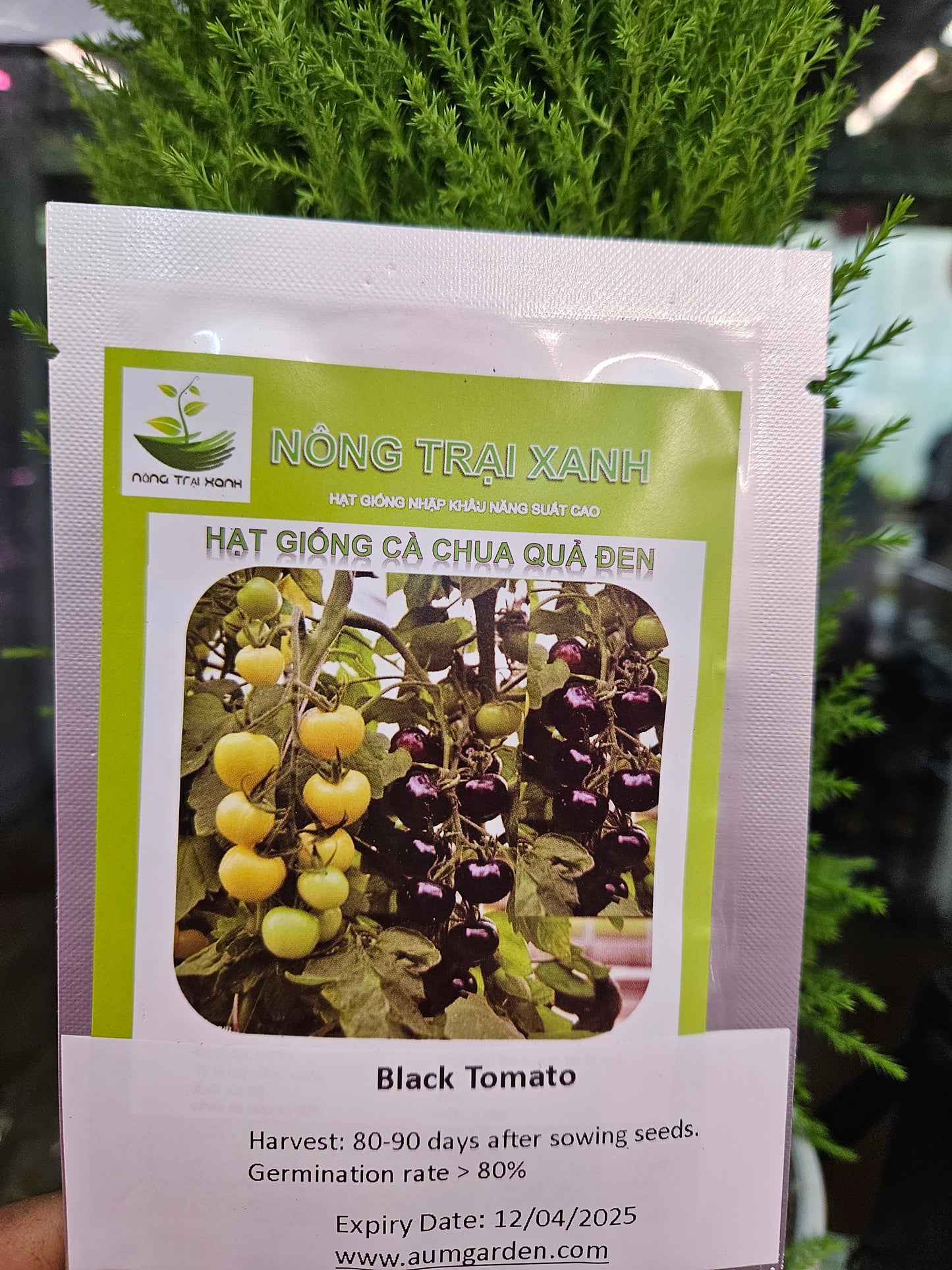 Exotic seeds