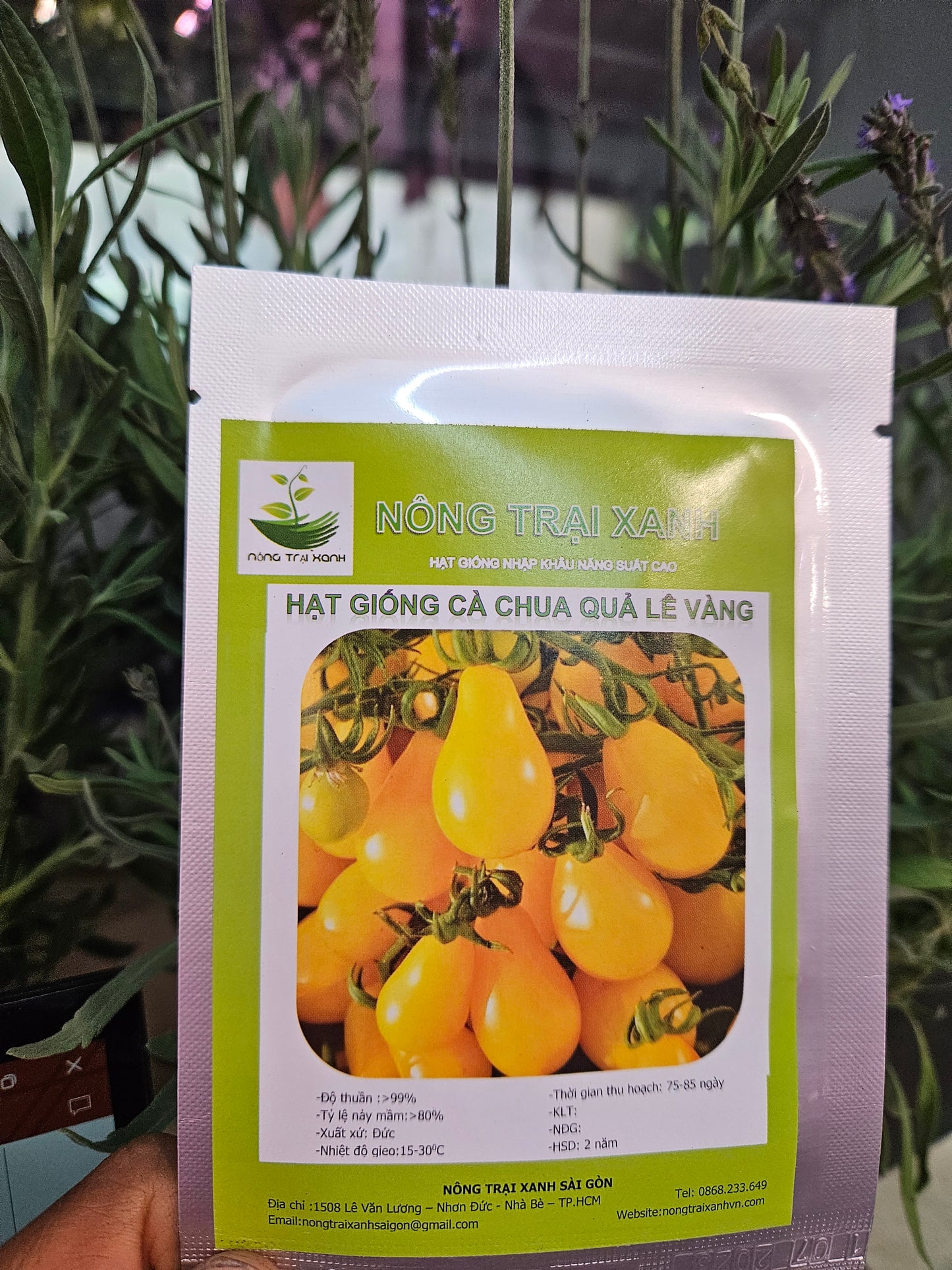 Exotic seeds