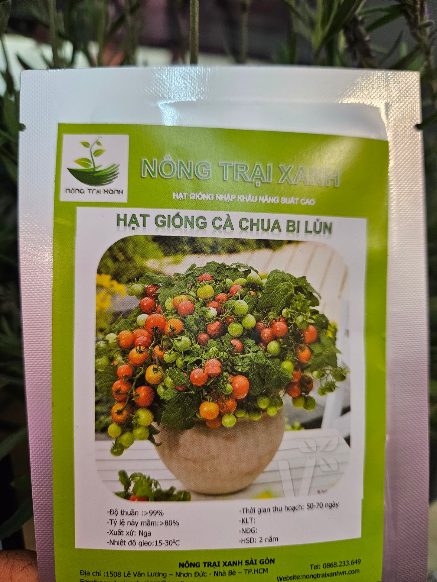 Exotic seeds