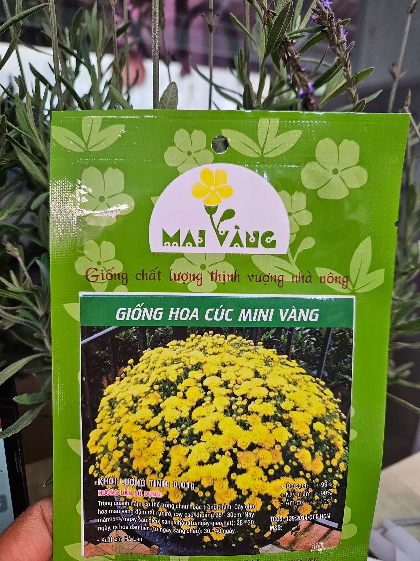 Exotic seeds
