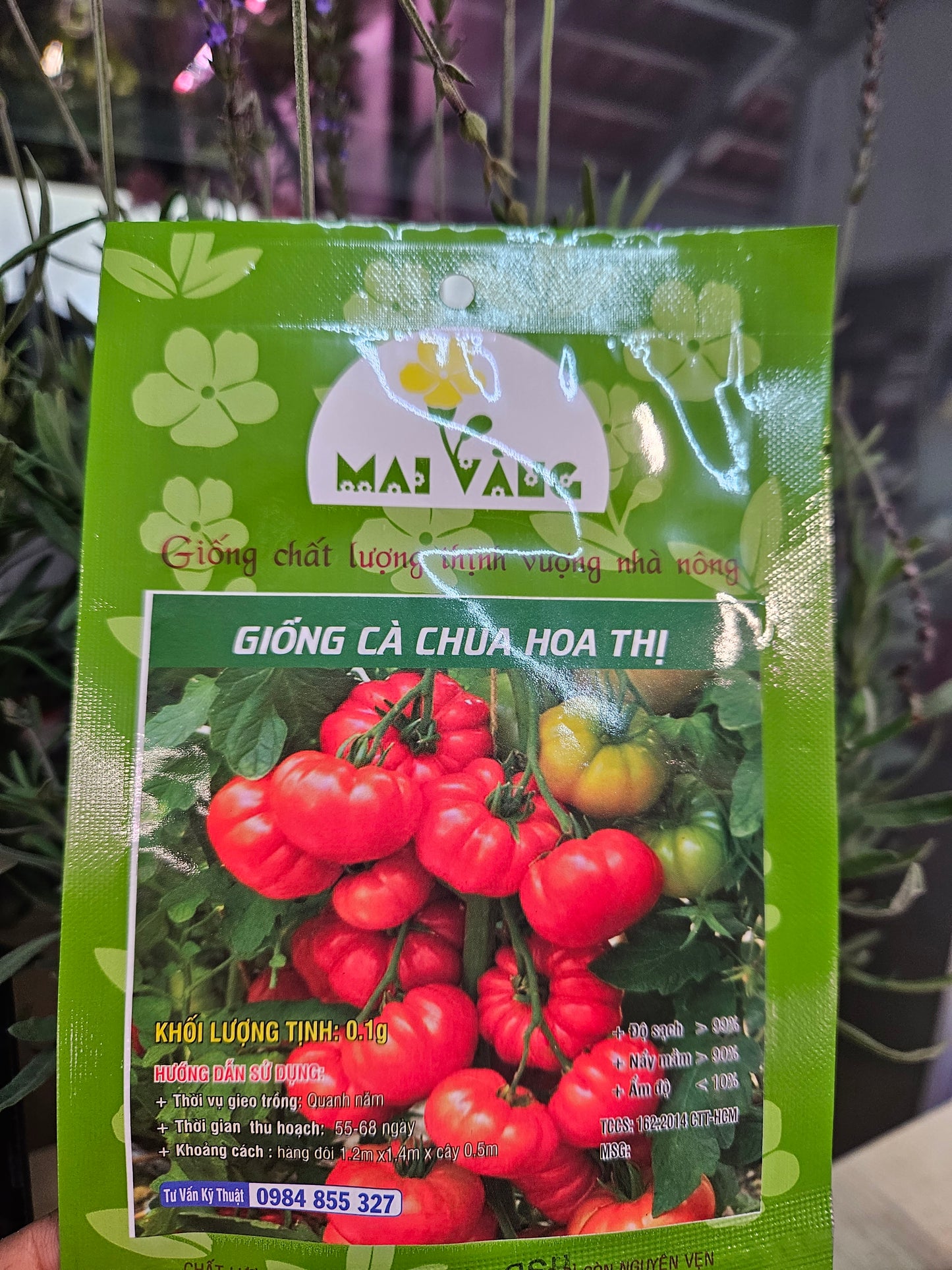 Exotic seeds