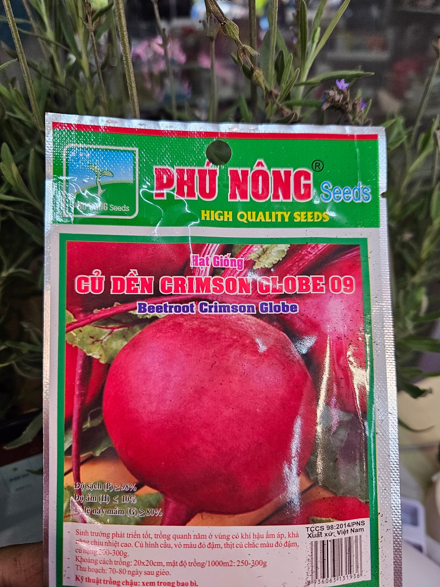 Exotic seeds