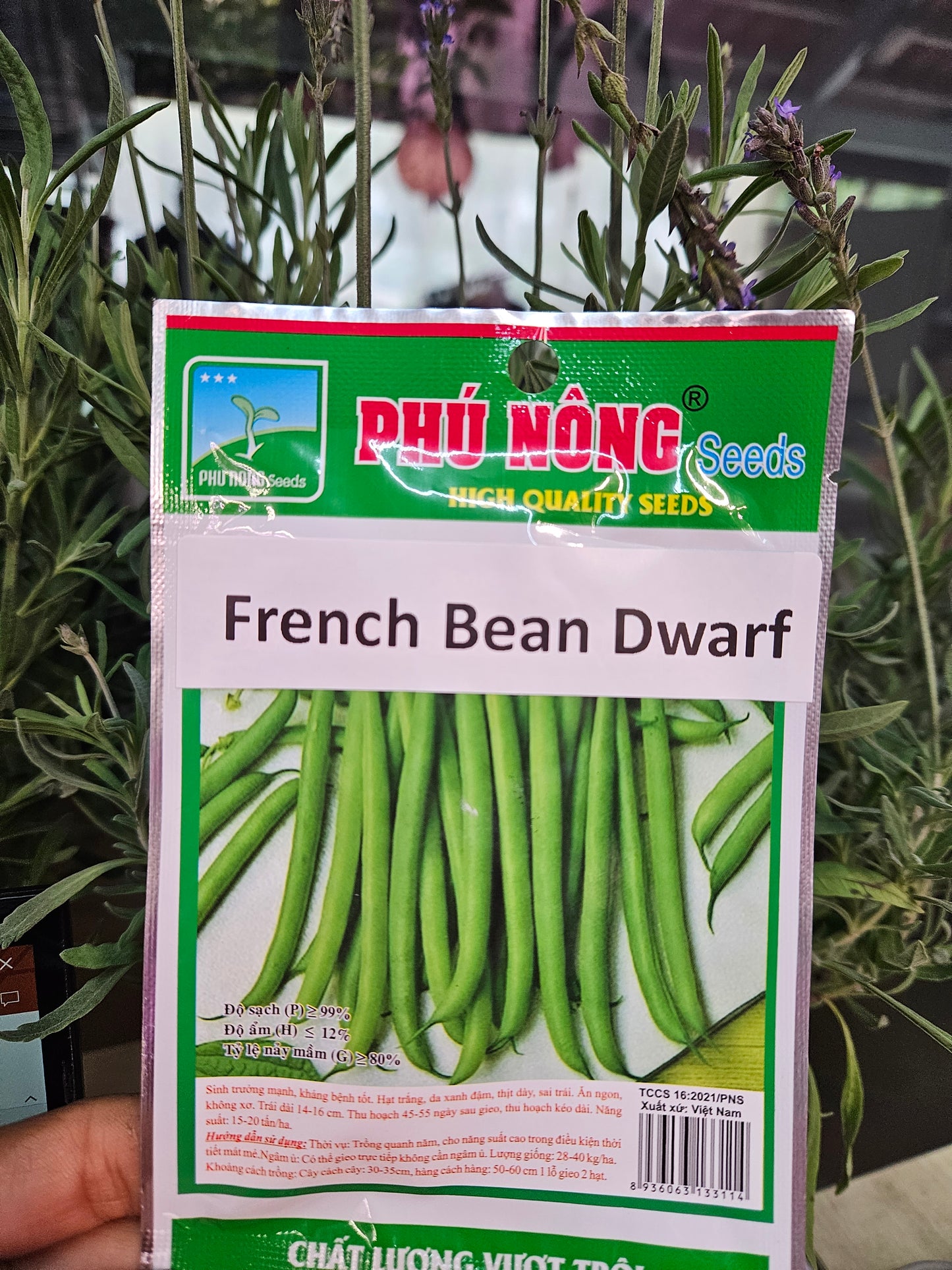 Exotic seeds