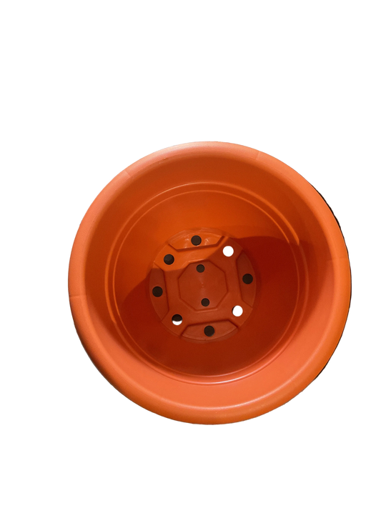 Baba plastic pot (Small)