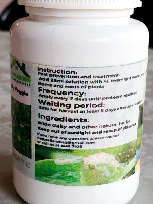 Pyrethrum Daisy (powder/solution)