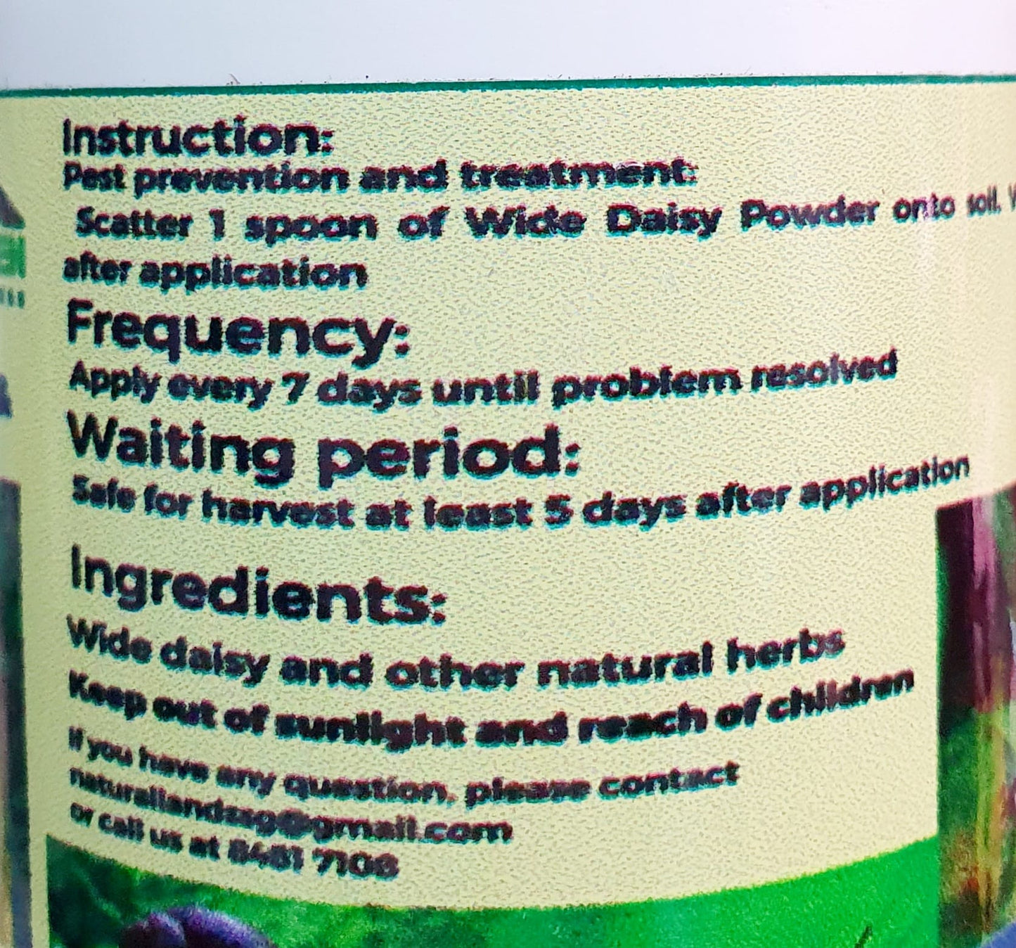 Pyrethrum Daisy (powder/solution)