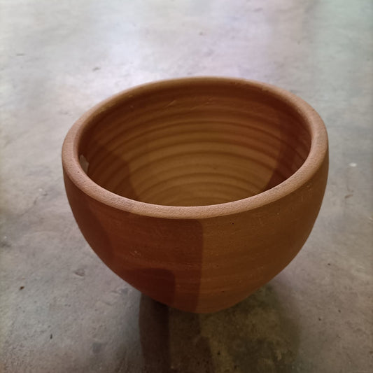 Terra Cotta (Medium) Pot