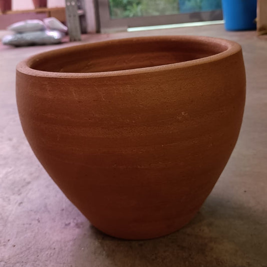 Terra Cotta (Medium) Pot