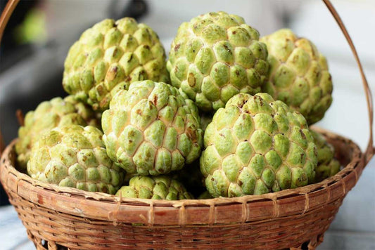 Thai Custard Apple