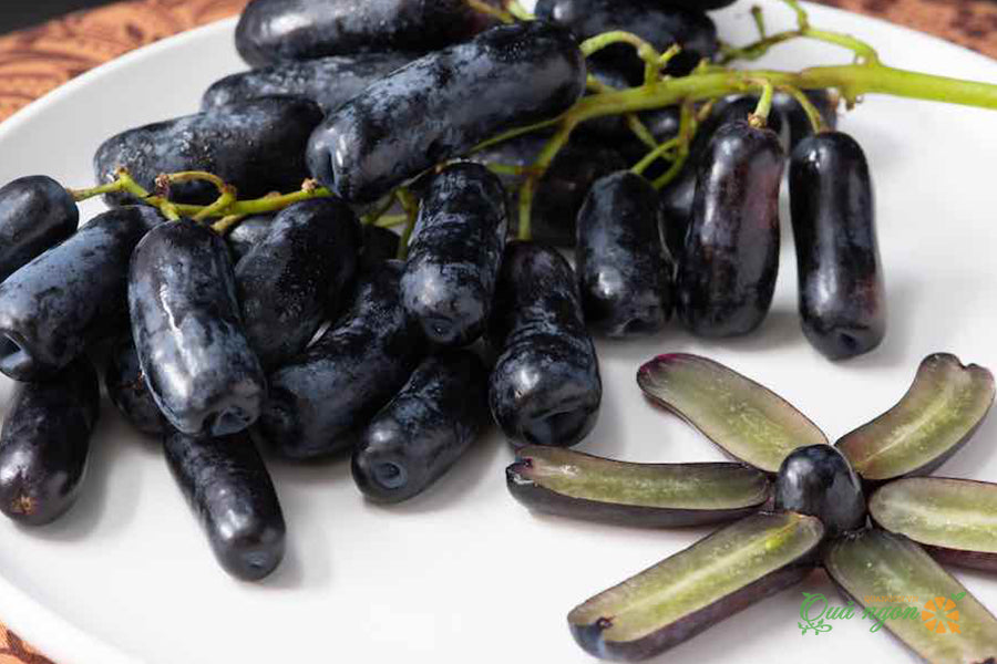 Elongated Seedless Grape Grafted Plant (Black Sapphire)