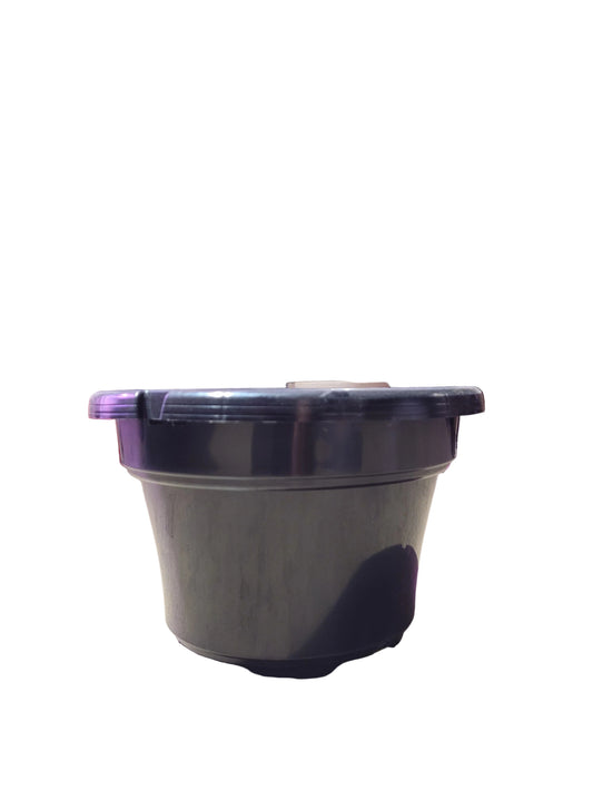 Black Hanging Plastic Pot