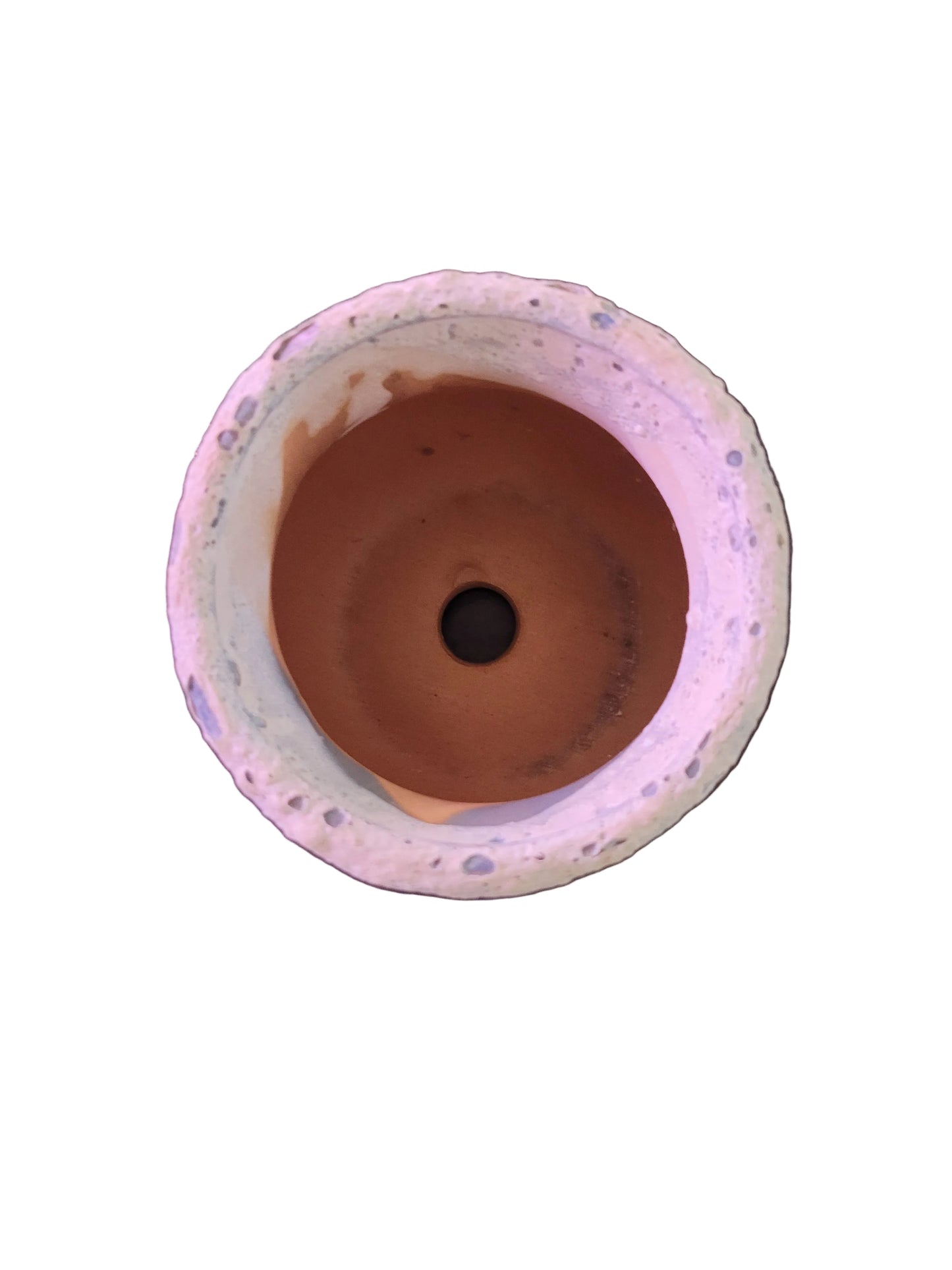 Circle Coral Pot