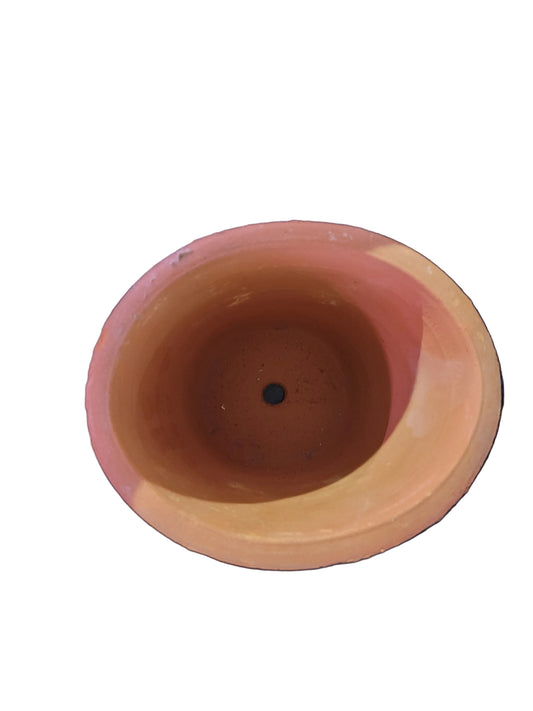 Oval Terracotta Pot (M)