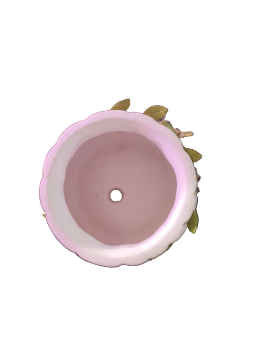 Vine Ceramic Pot