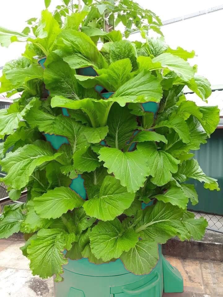 3-In-1 Organic Veggie Tower (Veggie Growth, Vermiculture, Kitchen Scrap Composting)