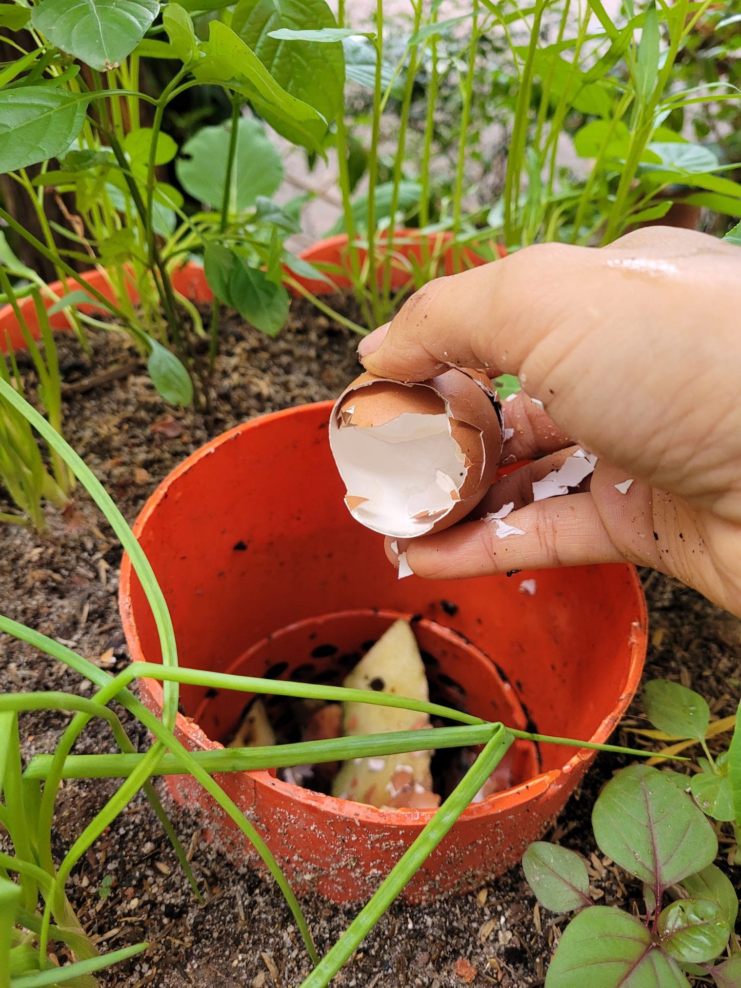 3-In-1 Organic Veggie Tower (Veggie Growth, Vermiculture, Kitchen Scrap Composting)