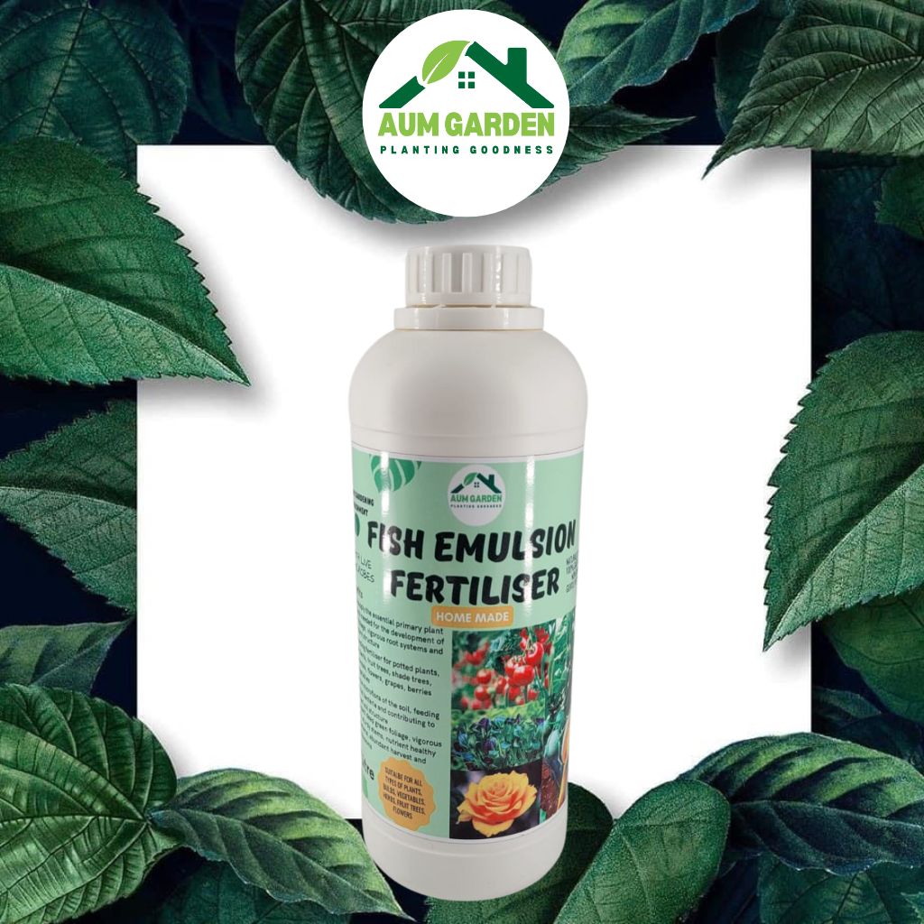 fish emulsion for potted plants All Natural Fish Emulsion Fertiliser 1L – Aum Garden