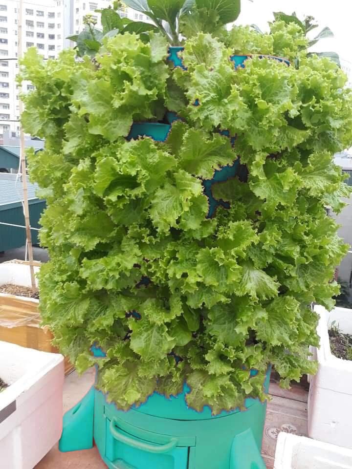 3-In-1 Organic Veggie Tower (Veggie Growth, Vermiculture, Kitchen Scrap Composting)