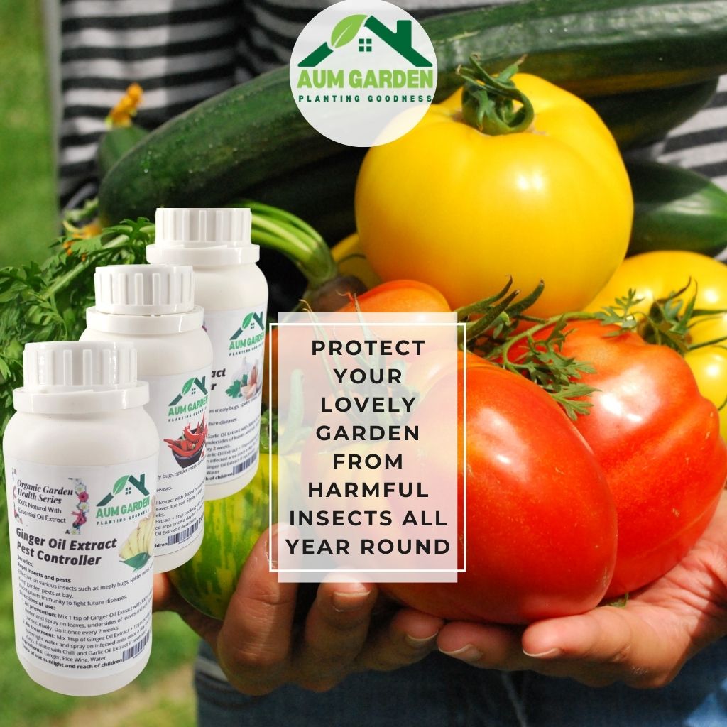 Aum Garden Cinamon Extract