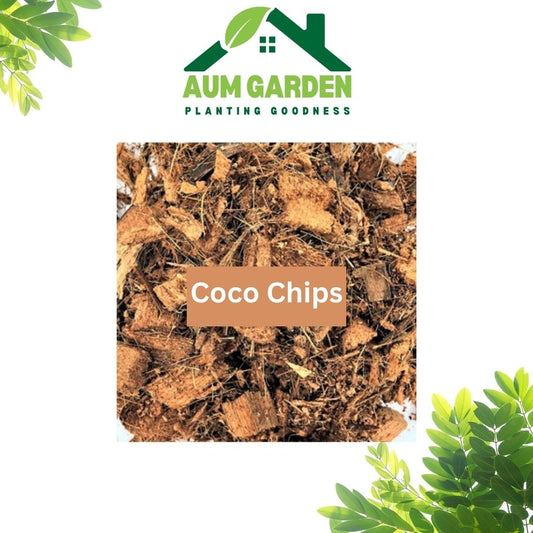 Coco Husk Chips