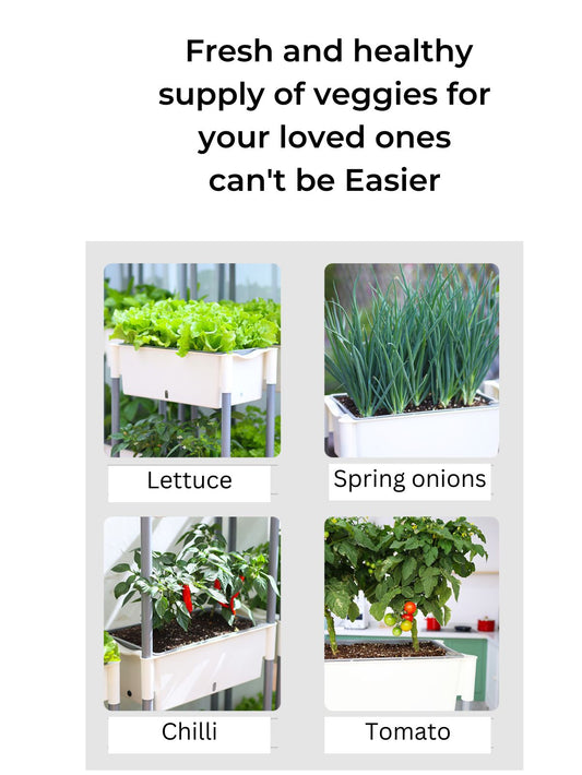 Self Watering Vertical Planter