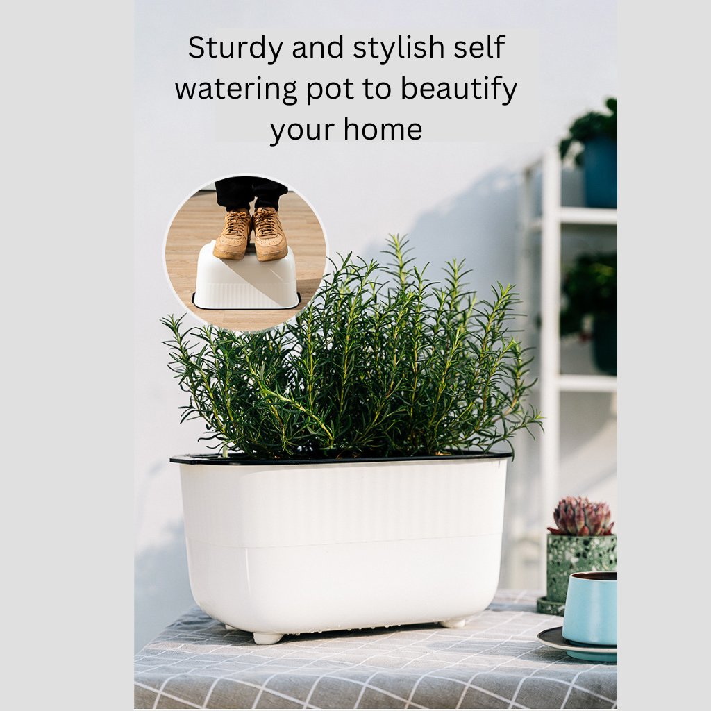 Self Watering Pot