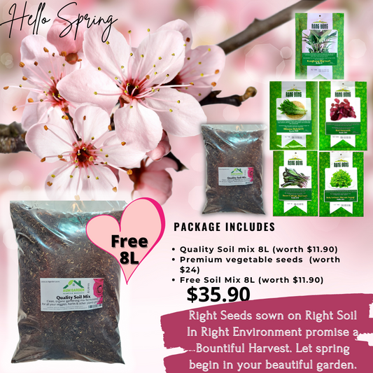 School Holiday Package