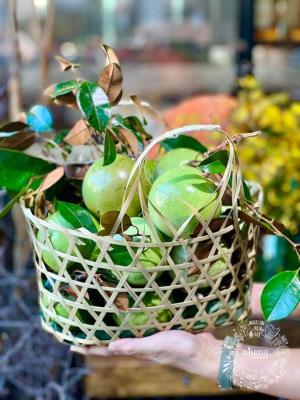 Loren Abiu (Green skin to slight pink when ripe)