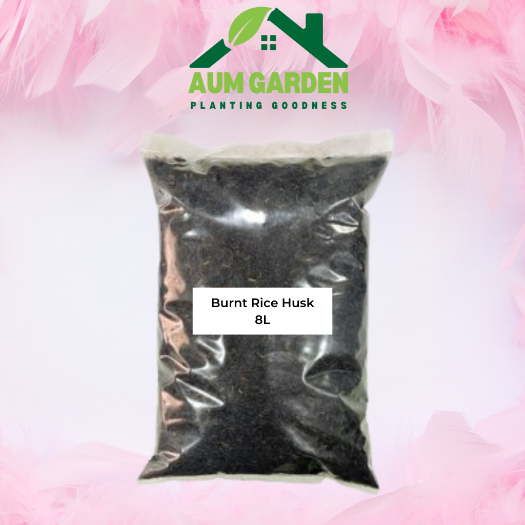 rice husk in potting mix Burnt Rice Husk