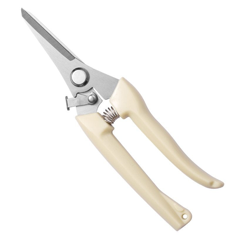 Stainless Steel Scissors