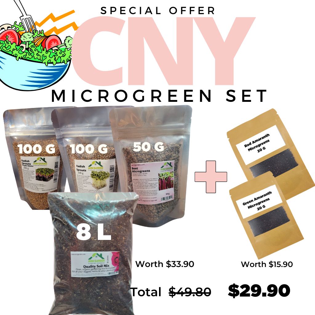 Microgreens set