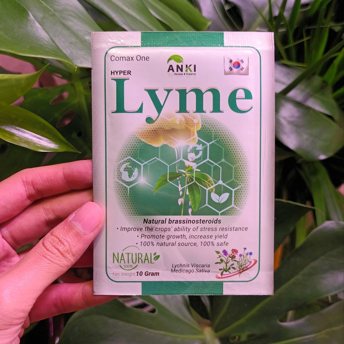 Lyme: Natural Brassinosteroids