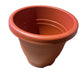 Baba plastic Pot（Medium）