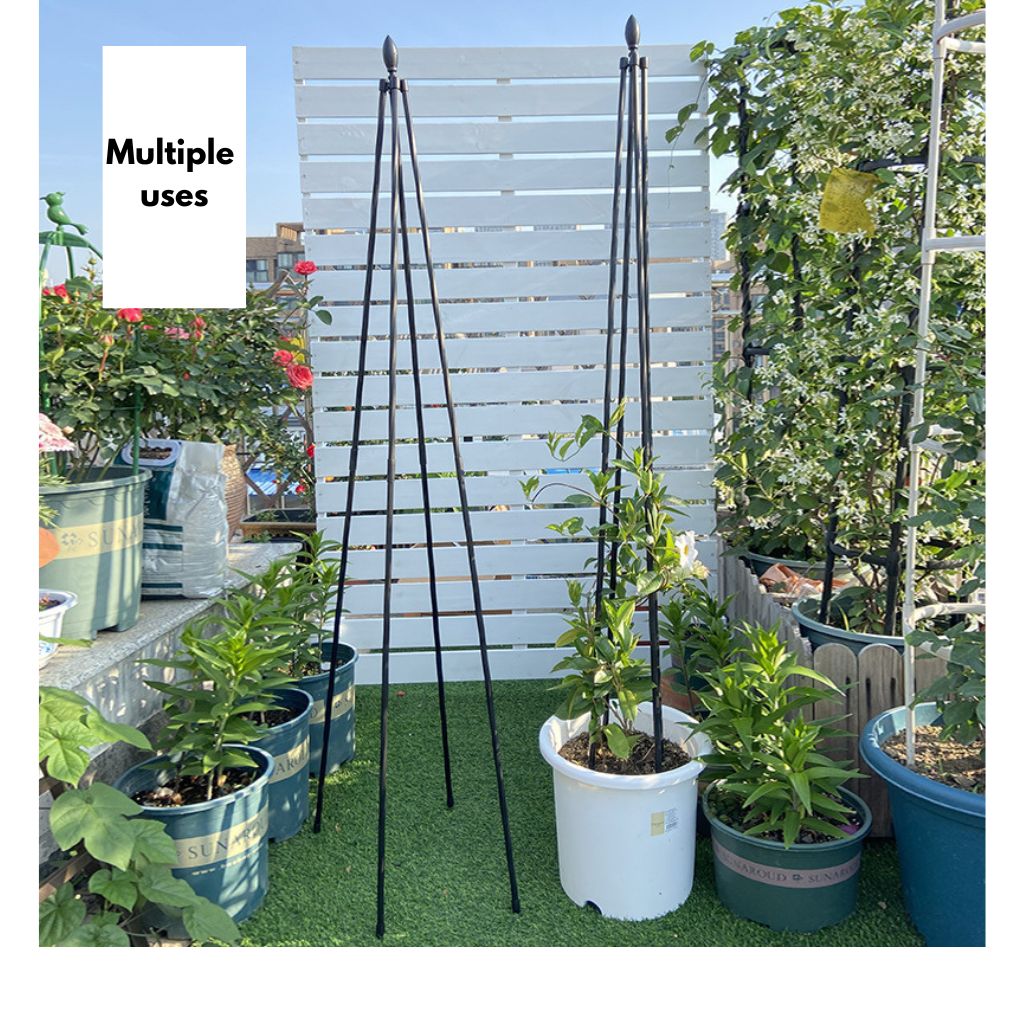 Trellis Plant Support Tower