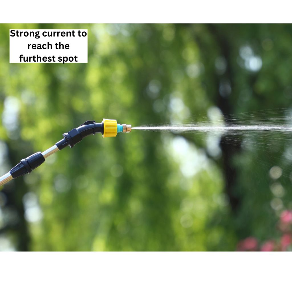 Electric Spray Gardening Spray