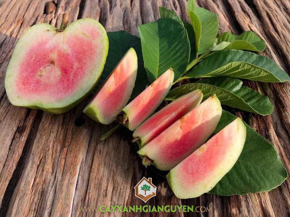 Ruby Pink Guava Less Seeds