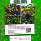 Rang Dong Seeds Collection
