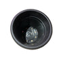 Baba plastic Pot（Medium）