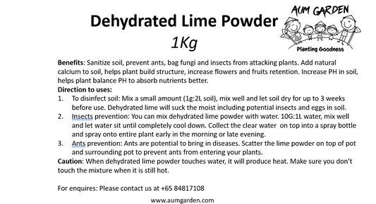 Dehydrated Lime Powder 1kg