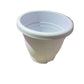Baba plastic Pot（Medium）