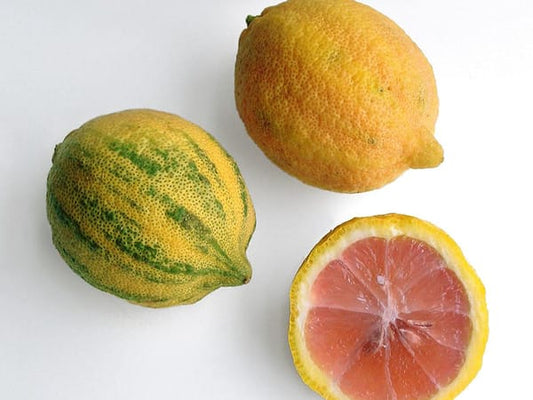 Pink Lemon