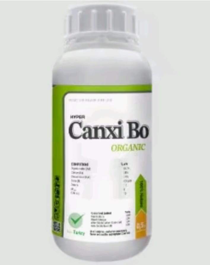 Canxi Bo