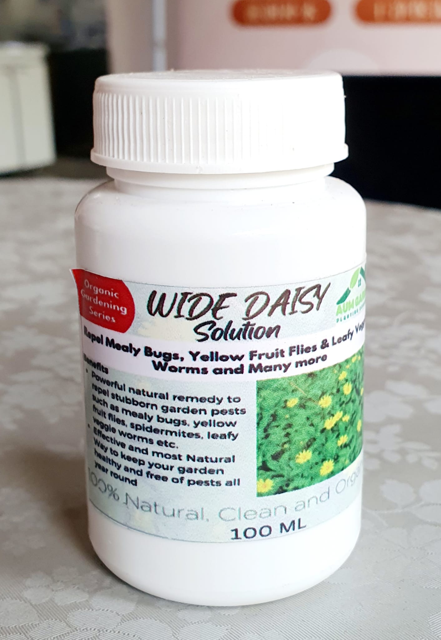 Wild Daisy (powder/solution) – Aum Garden