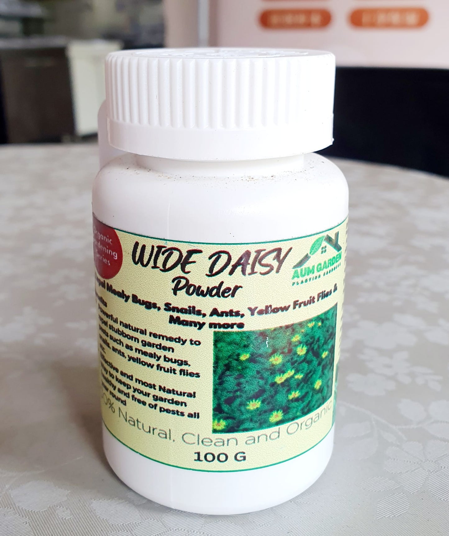 Wild Daisy (powder/solution)