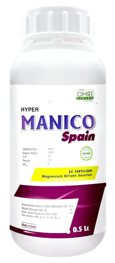 Manico