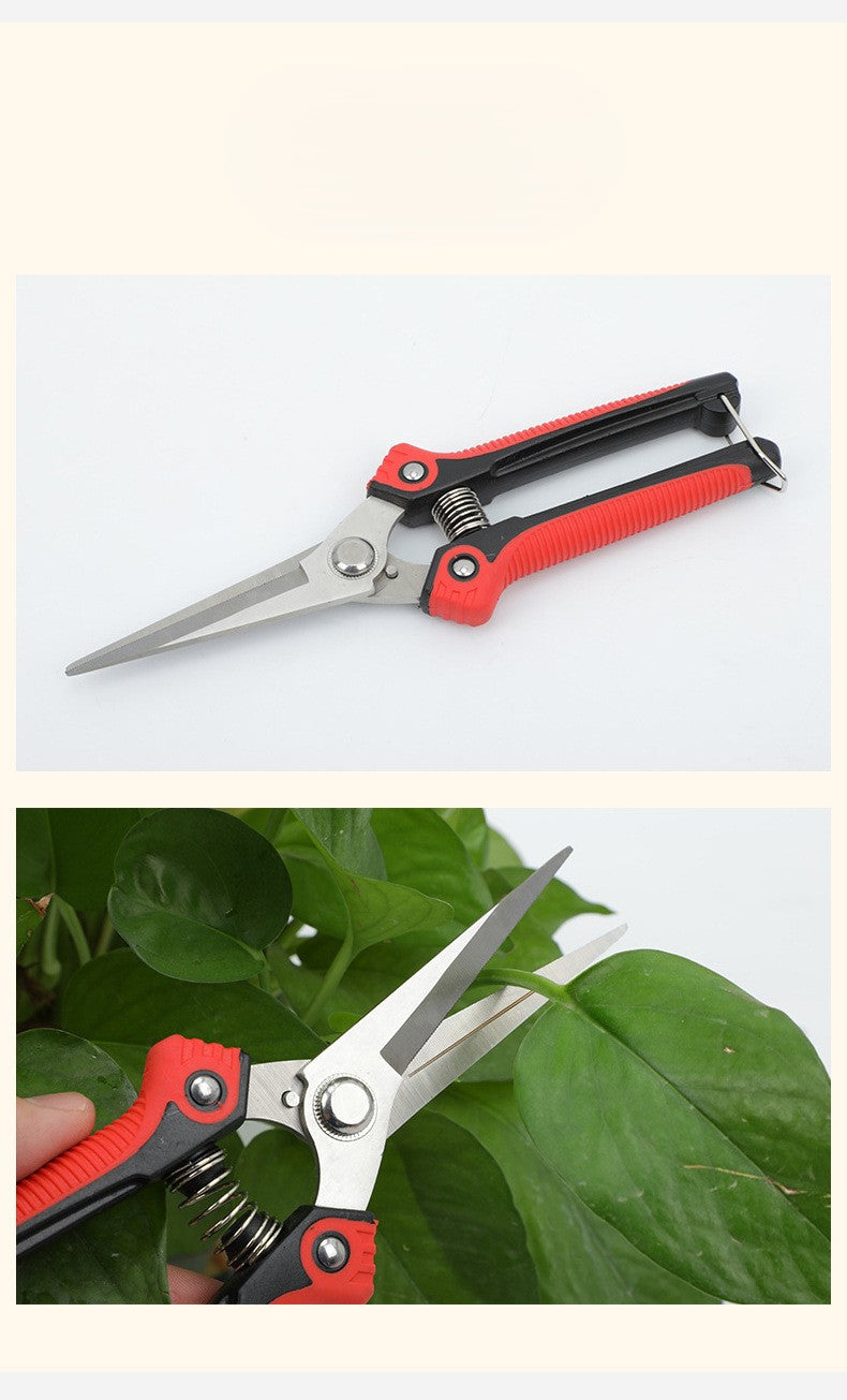 Heavy‑Duty Stainless Steel Pruning Shears – Ergonomic Garden Scissors Our selected shears