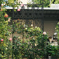 Trellis Fence