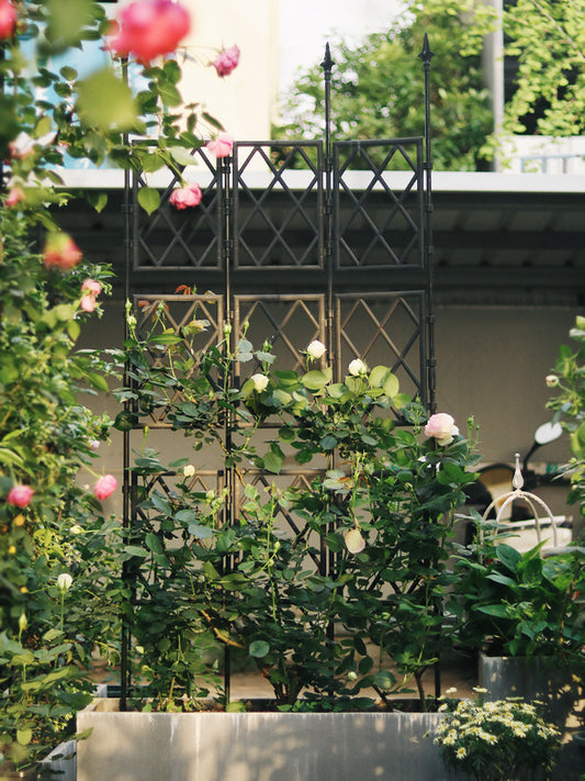 Trellis Fence