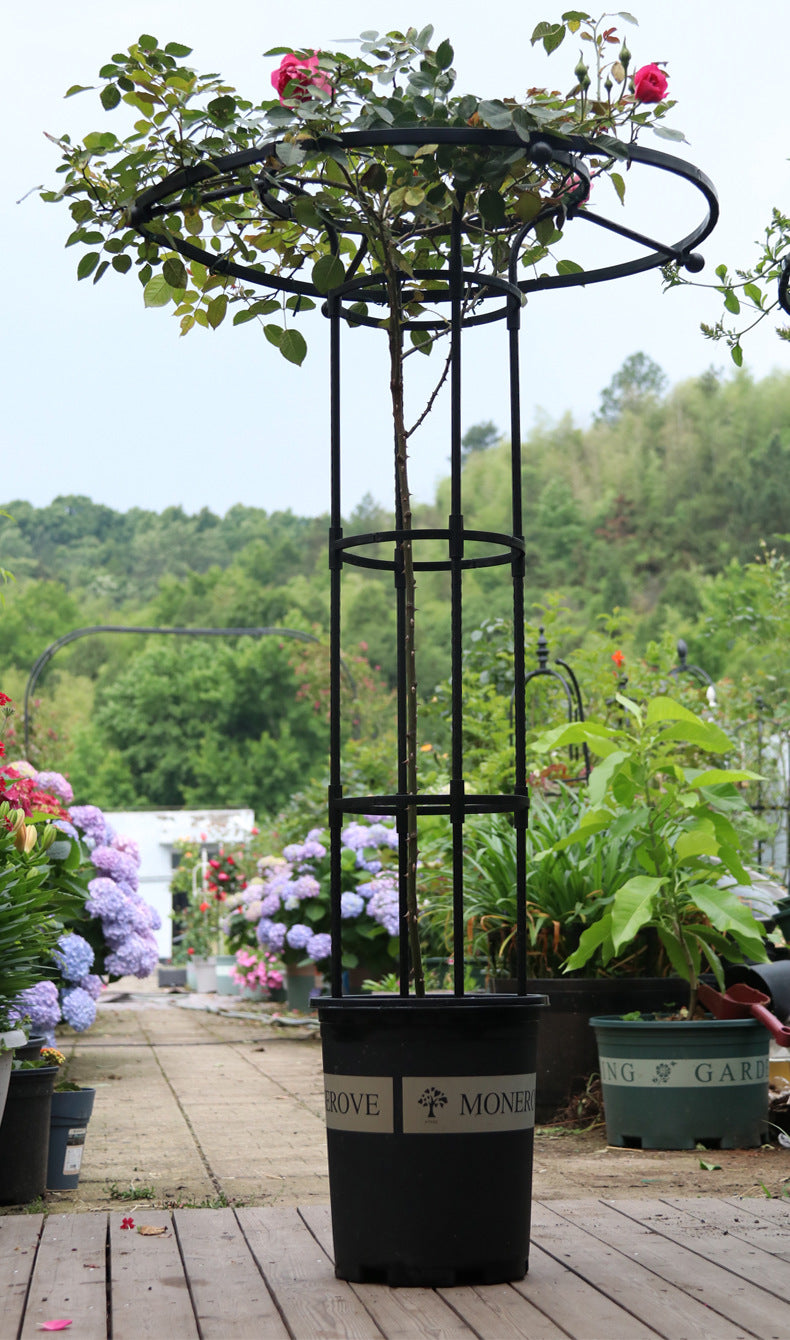 Umbrella Flower Stand